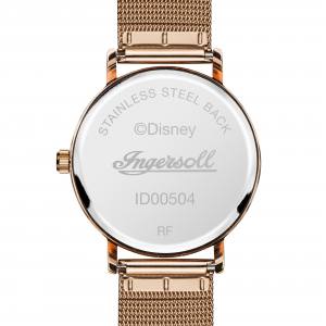 Ingersoll1892 ID00504 The Disney Ingersoll Union Aufnahme von Hi